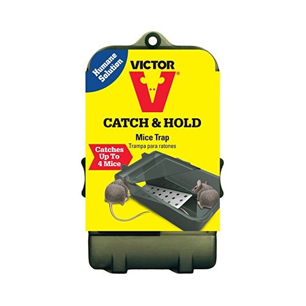 MOUSE TRAP MULTI CATCH