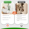 6ft Artificial Fiddle Leaf Fig Tree with Green Moss