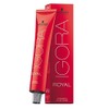 Schwarzkopf Igora Royal 6-4 Dark Blonde Beige 60 ml Professional Hair Colour by Schwarzkopf