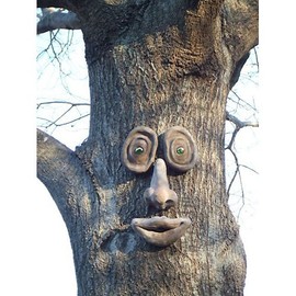 Weiler-Holdings Genuine Tree Peeple Oakley Tree Face