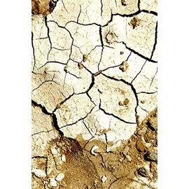 Happy Birthday Book: Happy Birthday Gifts Lined Journal Notebook (85) | Romantic Gift for Girlfriend/Boyfriend Friend Coworker Birthday Gifts | ... Funny Birthday Presents | Journal For Women