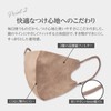 MASK LABO Fuji Layered Style Mask, 3D Mask, Regular Size