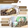 ARKANSIA - 200 g Shredded Paper for Filling Gift Boxes