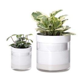 Phoenix Vine 6 Inch 4 Inch Self Watering Planter, White Terracotta Clay Pots with Glass Reservoir for Indoor Plants, Herbs, Flowers, 52-B-G-46