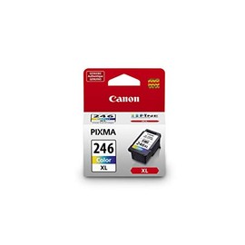 CANON INKCART,CL-246 XL,AST