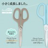 Plus Scissors Fit Cut Curve Smart Ash Brown 35-232x2 Same