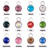 Craftdady 24pcs Birthstone Bracelet Charms Flat Round Dangle Earring Pendants