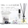 LUCAS Vision Stone (Crystal), Flower of Life (Purify Purify /