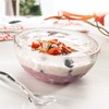 Guzzini Venice - Plastic Acrylic Bowl - Ice Cream Dessert