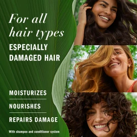 Herbal Essences Argan Oil Paraben Free Conditioner, Hair Repair, 600 mL, with Certified Camellia Oil and Aloe Vera, For All Hair Types, Especially Damaged Hair