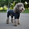LoveLongLong Dog Jumpsuit with UV Protection and Quick-Dry Fabric for