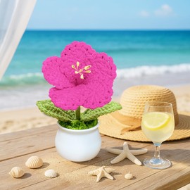 Rimvoe Crochet Hibiscus Flower Pot for Car Dashboard or Home Decor, Handmade Knitted Hawaiian Flower Pot (Fuchsia)
