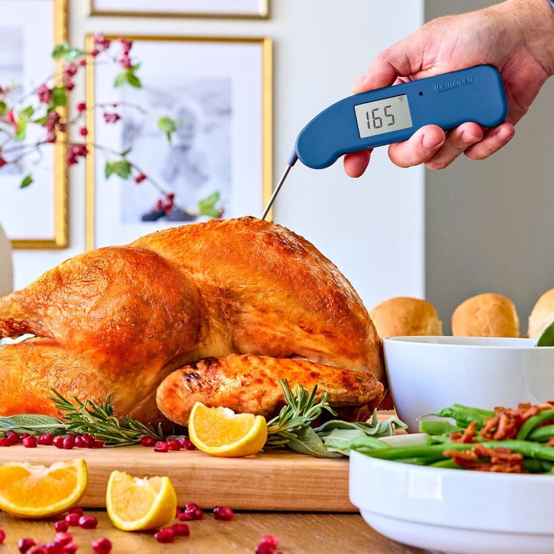 ThermoWorks Thermapen ONE, No. 1 Recommended Instant-Read Thermometer - Nautical