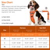 VavoPaw Dog Seat Belt Harness for Car, Dog Car Harness
