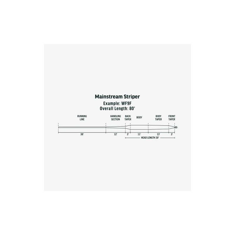 RIO Products Mainstream Striper, Fly Fishing Line for Striped Bass,