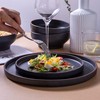 LERATIO Dinner Plates,Ceramic Dinner Plates Set of 6,10.75 inch Large