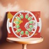Cellulite Massager, Manual, 360° Coverage, Anti Cellulite Massager, Massage Roller,