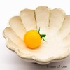 Kaneko Kohei 555-0004 Mino Ware 4.7 inches (12 cm) Bowl,