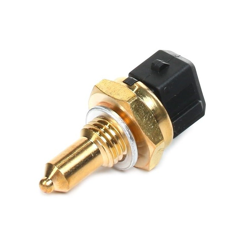 Delphi TS10270 Switch