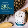 Wondercide - Fruit Fly Traps for Indoors - Fruit Fly