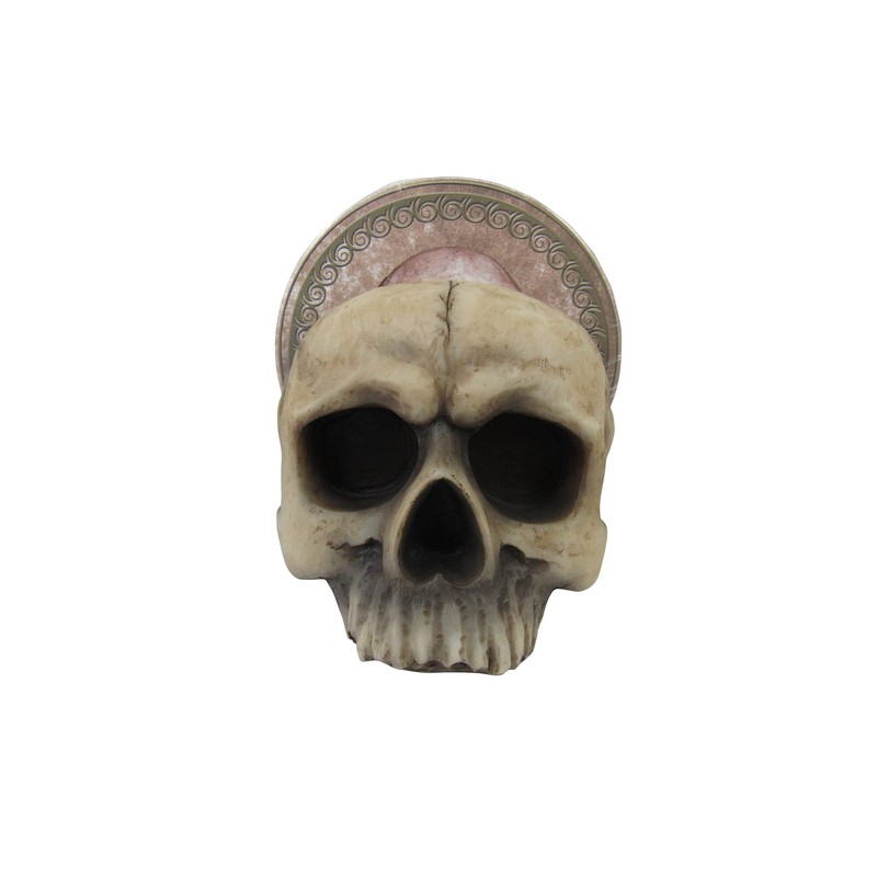 DWK Decorative Skull Holder with Drink Absorbent Coasters | 4