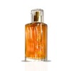 Choco Musk Eau De Parfum Spray 50ML (1.7 OZ) by