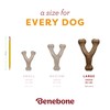 Benebone Pumpkin Spice Wishbone – Limited Edition Flavor, Durable Dog