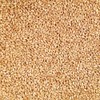 Grain Place Foods Non-GMO Organic Hard White Winter Wheat 2lb