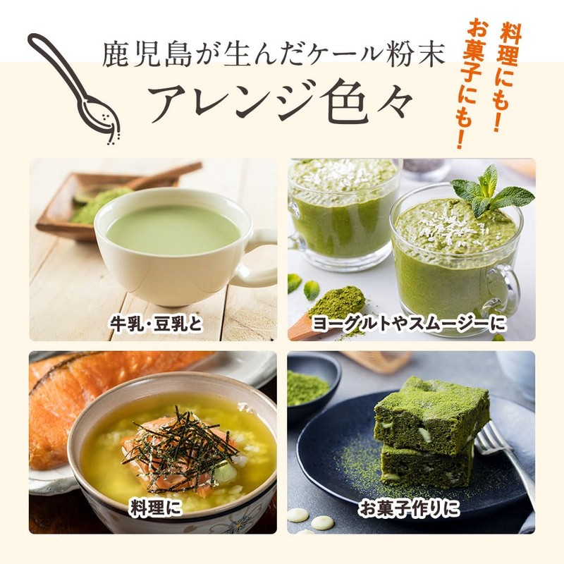 【鹿児島県産】オーガランド ケール 粉末 100g 青汁 ケールパウダー ケール青汁 加熱殺菌加工済