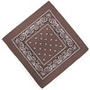 Unknown Biker Motorbike Bandana Head Scarf in Cloth Various Paisley