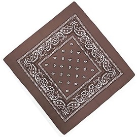 Unknown Biker Motorbike Bandana Head Scarf in Cloth Various Paisley Pattern Colours -