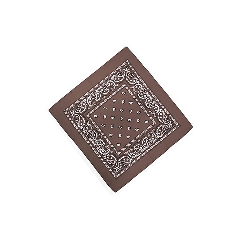 Unknown Biker Motorbike Bandana Head Scarf in Cloth Various Paisley