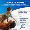 Lysol Disinfectant Spray, Sanitizing And Antibacterial Spray, For Disinfecting And