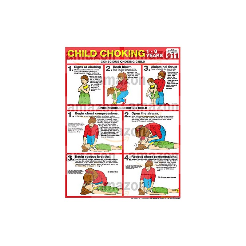 ALGRA Choking for Children 18" X 24" Laminated Poster