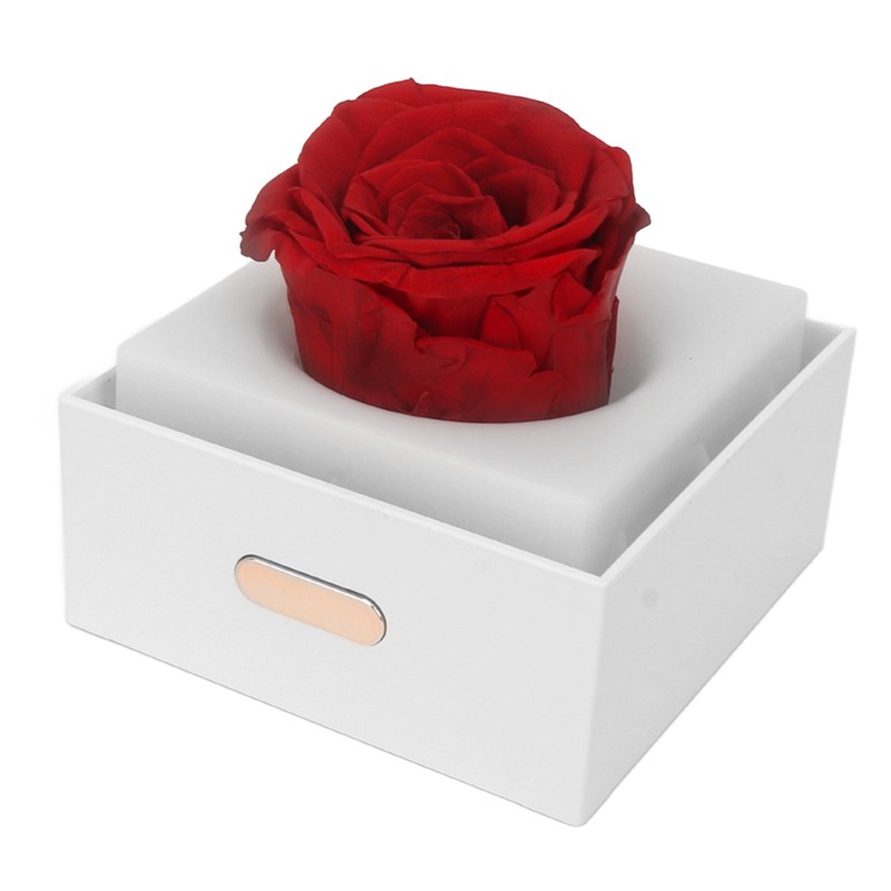 Rose Night Light Romantic Small USB Charging Soft Brightness Decoration