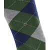 Burlington King Knee Socks Opaque Cotton (Organic), Green Eucalyptus 7502