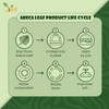 Ved 25 Disposable Eco-Friendly, Biodegradable Areca Leaf Plates 4" (10cm)