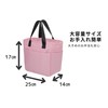 Insulated Lunch Bag, Bento Bag, 9.8 x 6.7 x 5.5