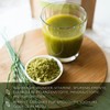 Barley Grass Powder Organic 550 g Value Pack from German
