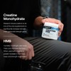 Transparent Labs Creatine HMB - Creatine Monohydrate Powder with HMB