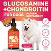 Glucosamine for Dogs | Hip and Joint Supplement | Glucosamine