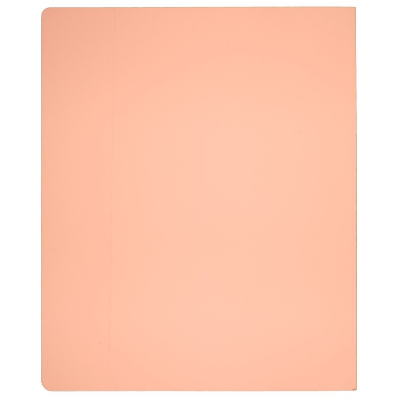 AT-A-GLANCE Notebook, 8-1/2" x 11", 80 Sheets, WorkStyle Take Chances,