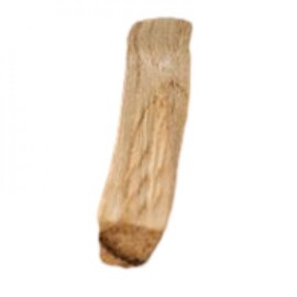 Glossom Holy Smoke Palo Santo REGULAR / 글로썸 홀리스모크 팔로산토 REGULAR