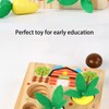 Baby Carrot Harvest Game Wooden Carrots Shape Sorting Matching Puzzle