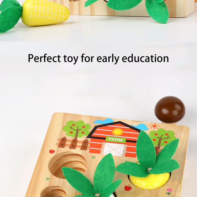 Baby Carrot Harvest Game Wooden Carrots Shape Sorting Matching Puzzle