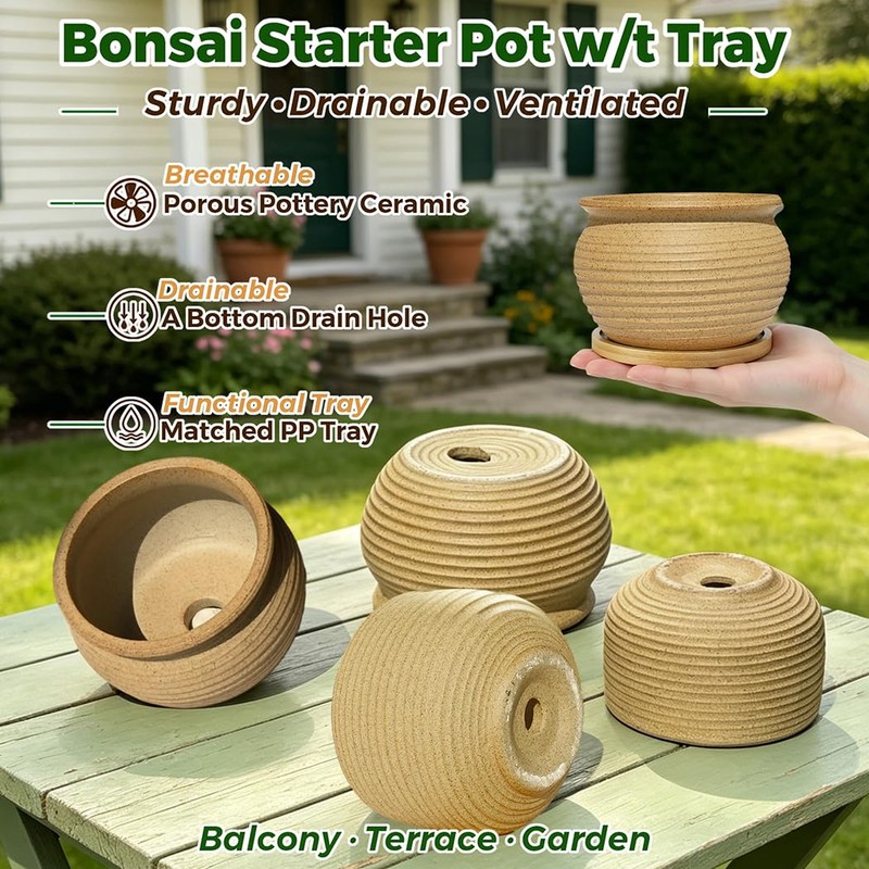 Rustic 4 inch Bonsai Plant Pot with Bamboo Tray Set