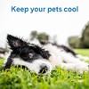 The Green Pet Shop Cool Pet Pad - Medium, Disney’s