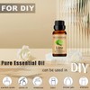 Lime Essential Oils 10ML, Organic 100% Pure and Natural Lime