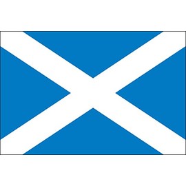 3x5 Scotland Cross Polyester Indoor or Outdoor Flag, More Than 200+ 3x5 Foot (90x150 cm) International Flags Available