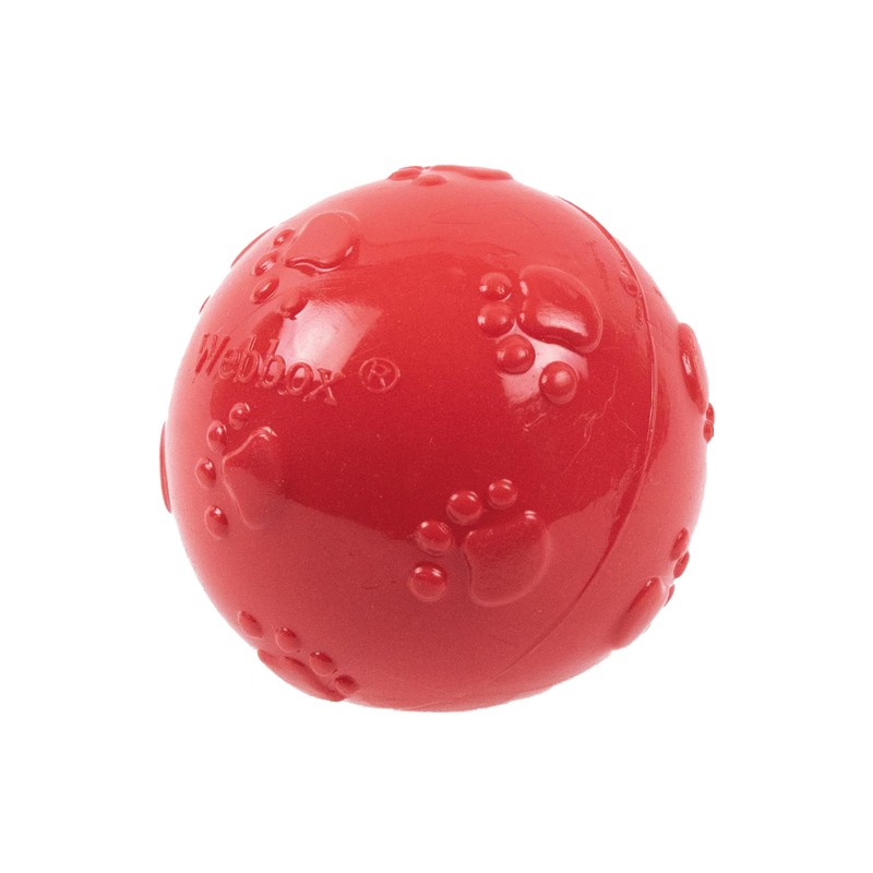 Webbox Fun & Squeaky Balls (4 Pack) - Boredom Buster